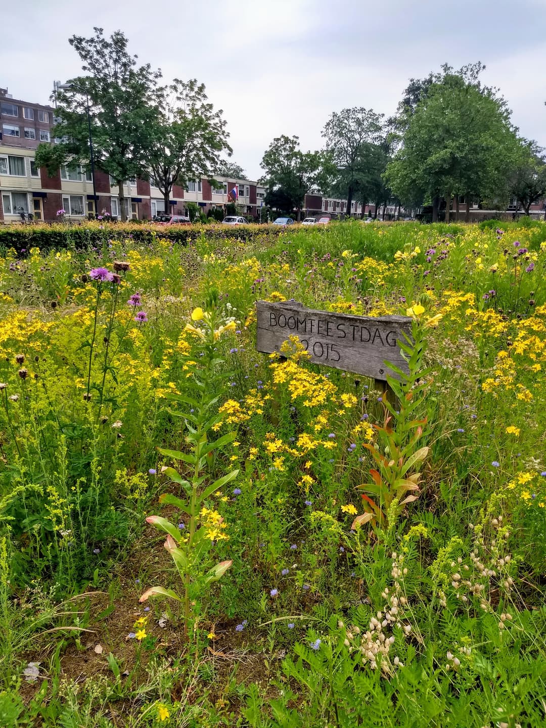 Meer groen, meer spelen, meer schaduw