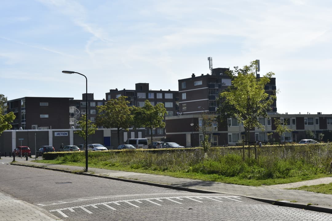 Winkelcentrum Maasstraat en DokZuid: openbare ruimte en parkeren